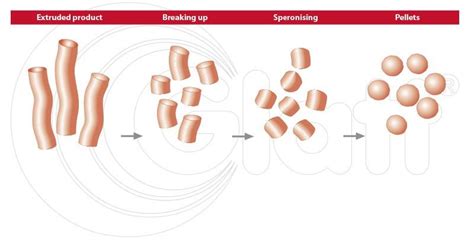 Pellet Extrusion Spheronization A Promising Pelletization Technique