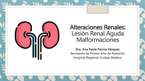 Alteraciones Renales Lesión Renal Aguda y Malformaciones PPT