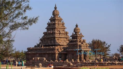 discover mahabalipuram  wonderful activities