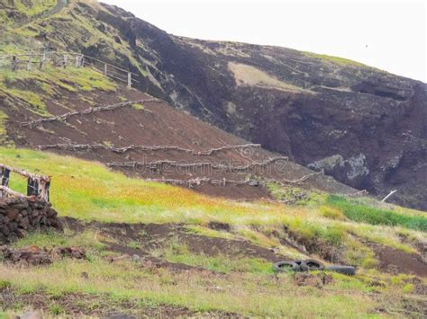 Nature of Easter Island, Landscape, Vegetation and Coast Stock Photo ...