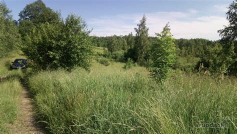 Parduodami du perspektyvūs sklypai esantys Skelbiu lt