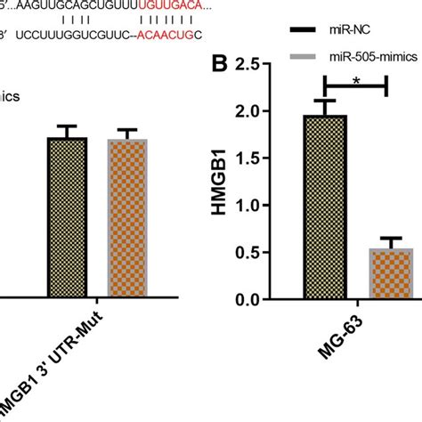 Mir‐505 Gene Identification The Data Of This Study In This Figure Are