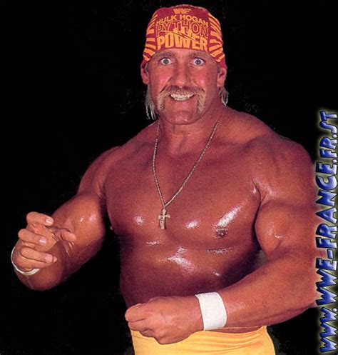 Hulk Hogan Wwe Wiki