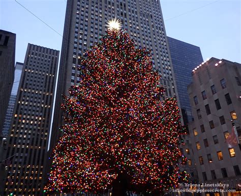 Big Apple Secrets Rockefeller Center Christmas Tree