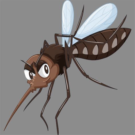 pest control services myrtle beachs  pest control company