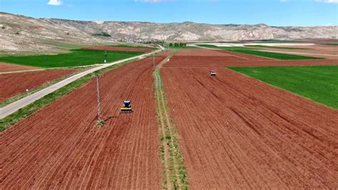 Patates üretiminde ilk sıralarda olan Sivas ta tohumlar toprakla