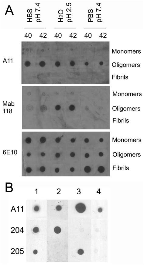 Monoclonal Antibodies Distinguish Conformational Variants Of Aβ Pfos