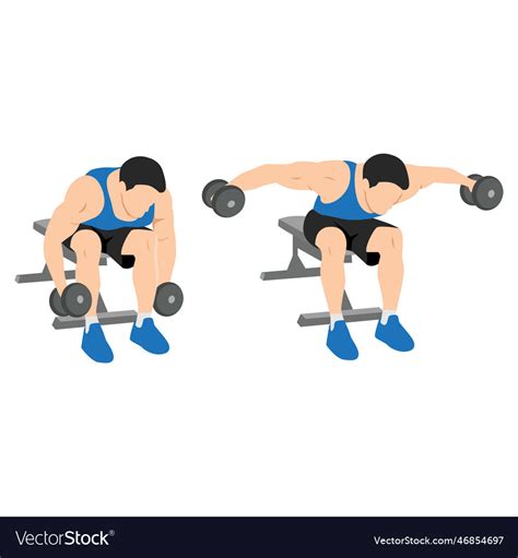 Man Doing Seated Bent Over Rear Delt Raises Vector Image