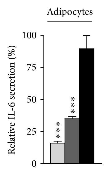 Characterization Of Signaling Pathways Involved In Hsp60 Mediated