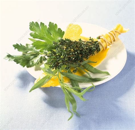 Ingredients of bouquet garni - Stock Image - C053/9817 - Science Photo ...