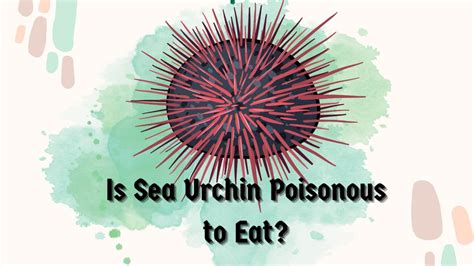 How Does Temperature Affect Sea Urchins Major Impacts