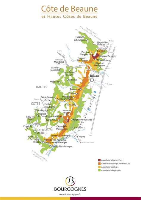 Sauvignon Blanc Cabernet Sauvignon Chardonnay Cote De Beaune Saint