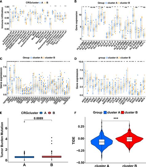 The Immune Related Characteristics Of Cuproptosis Related Molecular