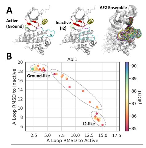 (A) Top: Three-dimensional models of the Abl1 kinase core in its active ...