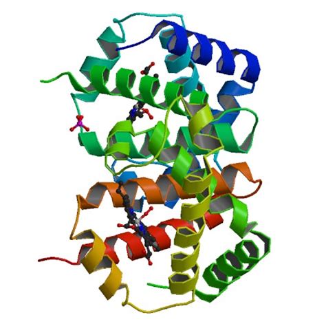 Pdb 101 Learn Guide To Understanding Pdb Data Missing Coordinates