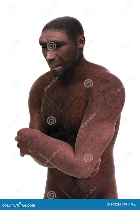 D Rendant Homo Erectus Sur Le Blanc Illustration Stock Illustration