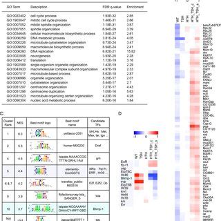 Methoxyfenozide and methoprene toxicity to Sf9 cells. Cell viability... | Download Scientific ...