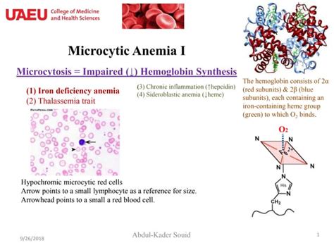 2 Microcytic Anemia I Iron Deficiencyppt