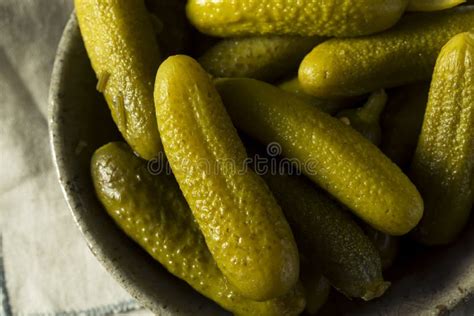 Pickled Organic Cornichon Gherkin Pickles Stock Image Image Of Salty