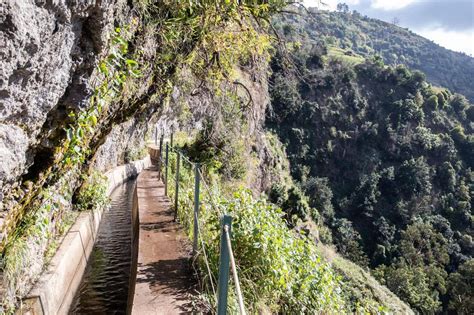 Madeira Reach The Sun Hike Levada Nova Moinhos Ponta Do Sol Klook