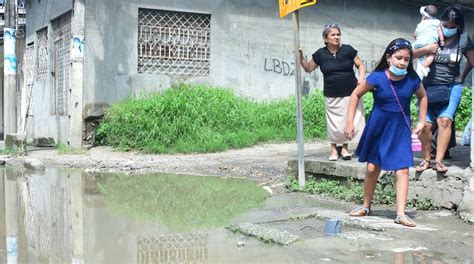 Ecuador tuvo una media de 130 casos anuales de leptospirosis en 5 años