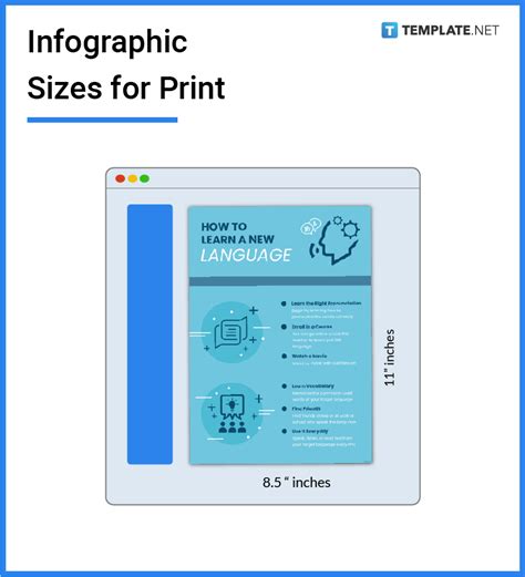 Infographic Size Dimension Inches Mm Cms Pixel