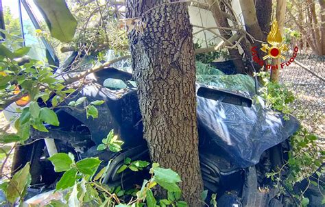 FOTONOTIZIA Bibione Finisce Fuoristrada E Va Contro Un Albero