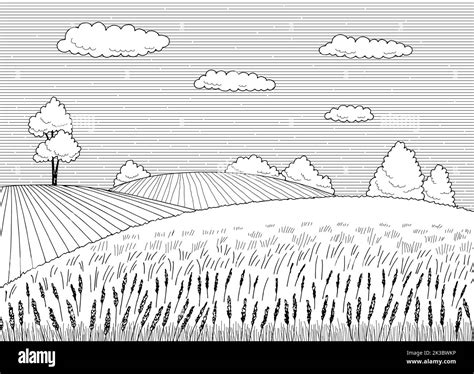 Field Graphic Black White Landscape Sketch Illustration Vector Stock