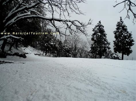 NAINITAL TOURISM - Since 1999 - 3000 + Photos - SNOWFALL | SNOW FALL IN ...