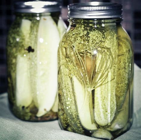 The Ultimate Classic Kosher Dill Pickle Recipe Artofit