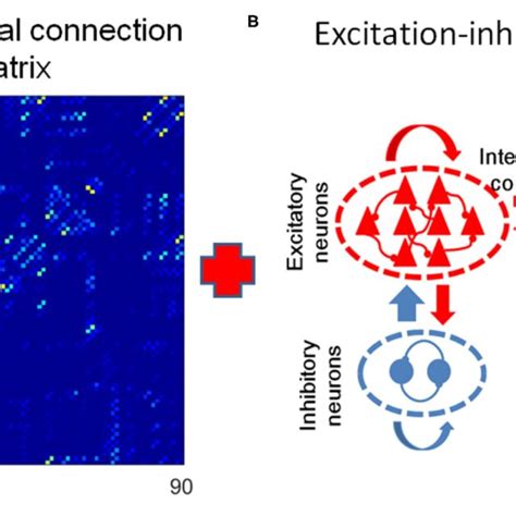 The Dti Ei Whole Brain Model A The Dti Structural Connection Download Scientific Diagram