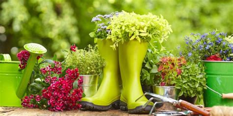 Essential Gardening Tools For Beginners Roohome