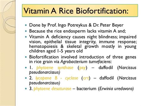 Biofortification Of Rice