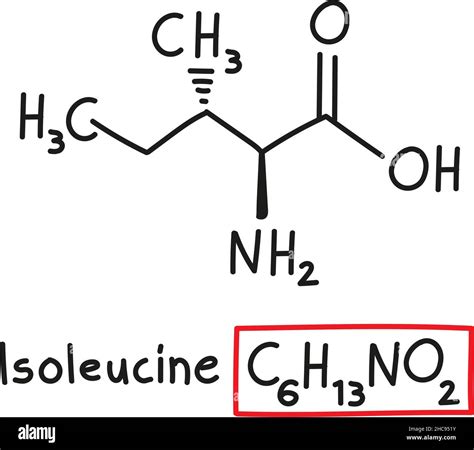 Hand Drawn Chemical Molecular Formula Of Amino Acid Isoleucine In