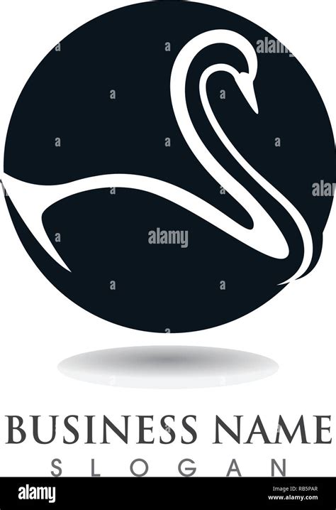 Swan Logo Template Vector Stock Vector Image And Art Alamy