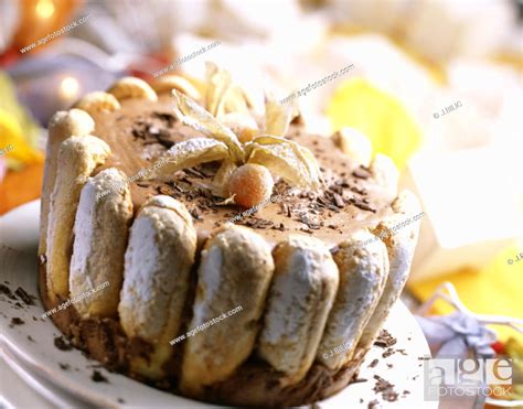 Chocolate charlotte dessert, Stock Photo, Picture And Rights Managed ...