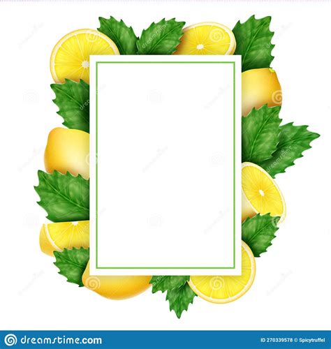 Lemon Border Vector Drawing Citrus Fruit Frame Template