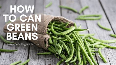 Canning Green Beans Recipe