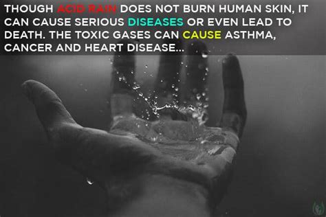 Acid Rain Effects On Humans Lungs