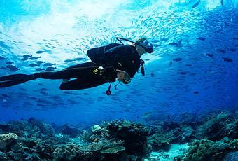 Outstanding Spots For Scuba Diving In Koh Samui In Paperblog