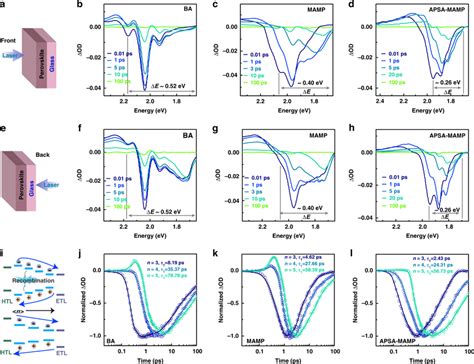 Carrier Dynamics Of Quasi 2d Perovskite Films Schematic Of Quasi 2d