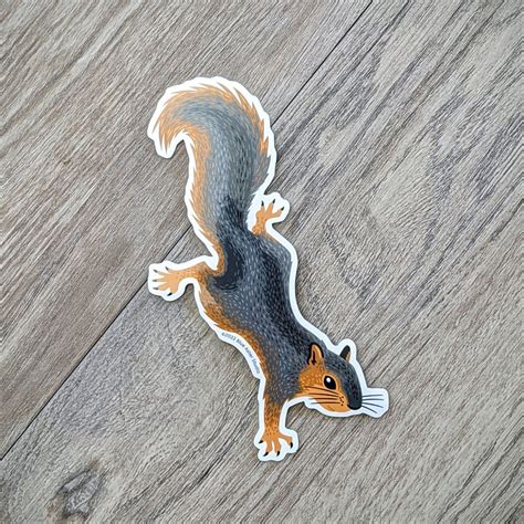 Squirrel Sticker Blue Aster Studio