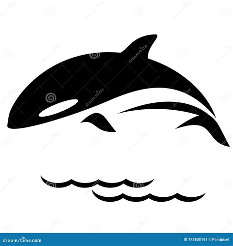 Orca Whale Silhouette. Vector Black And White Illustration ...