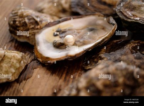 Pearl inside oyster shell Stock Photo - Alamy