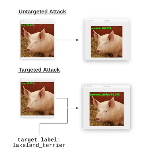 Targeted Adversarial Attacks With Keras And Tensorflow Pyimagesearch