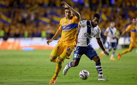 Así lo vimos jugador por jugador Tigres vs Puebla Jornada 1 AP2023