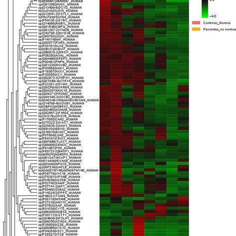 Heat Map Showing Protein Expression Patterns For Those Proteins With