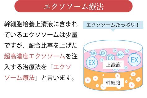 幹細胞培養上清液療法エクソソーム療法 大阪AGA加藤クリニック