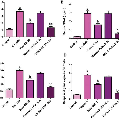 Effect Of Egcg Free And Encapsulated Pretreatment On A Serum Kim