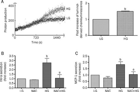 ROS play a key role in the high glucose induced secretion of TNFα and